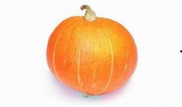 必吃大瓜今日大瓜,今日热门话题大盘点